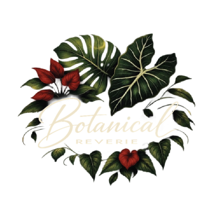Botanical Reverie